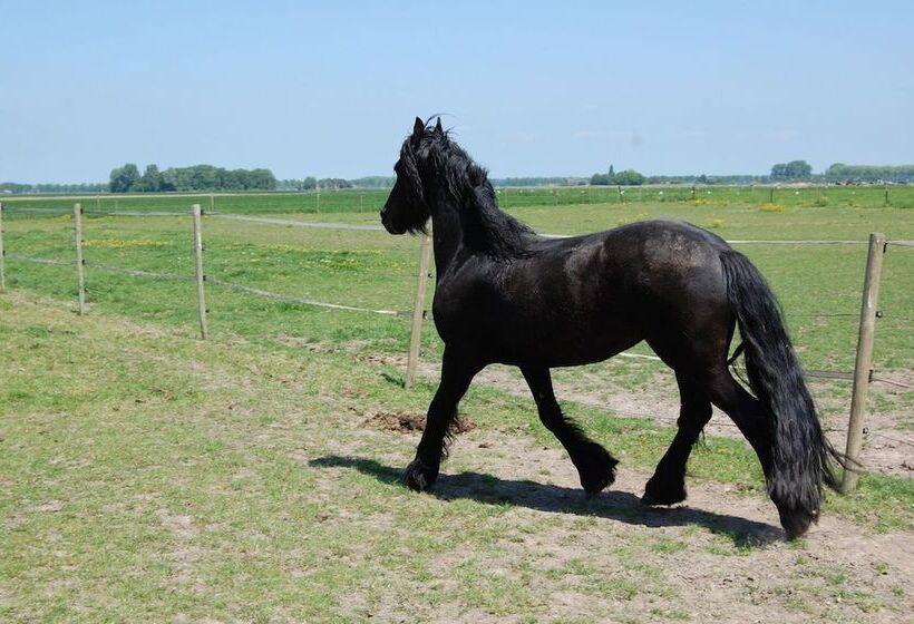 B&b Kasteelhoeve Dussen