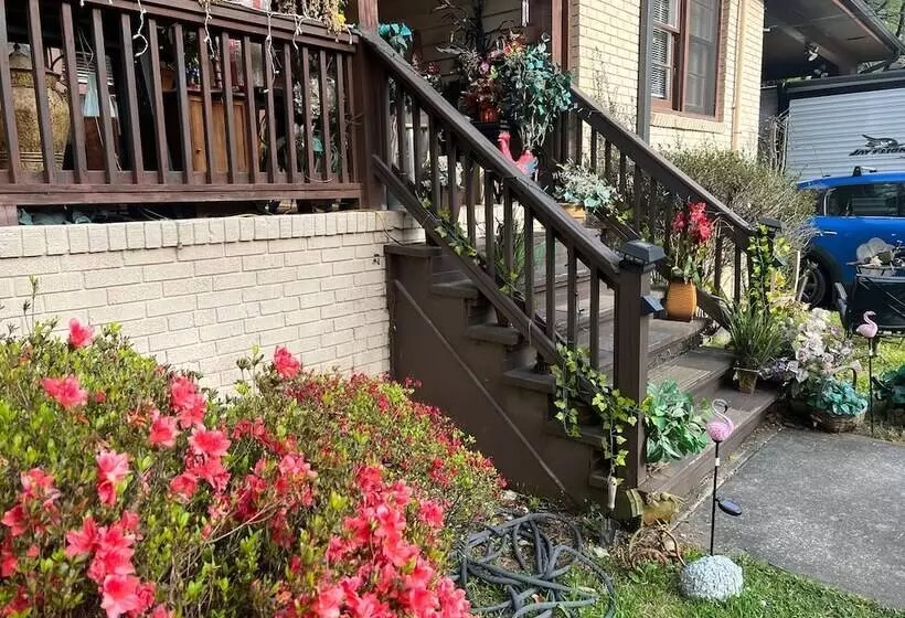 تختخواب و صبحانه The Relentless House