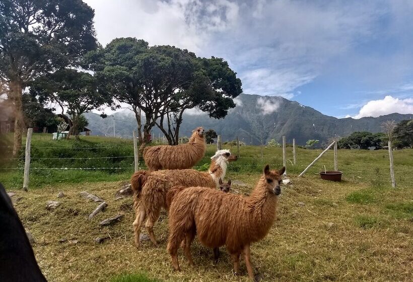 Casa L Amore Pululahua B&b Hostel