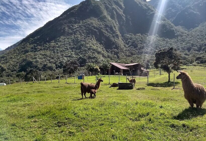 Casa L Amore Pululahua B&b Hostel