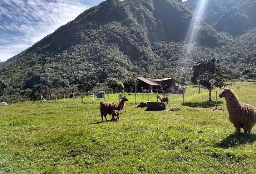 Casa L Amore Pululahua  B&b   Hostel