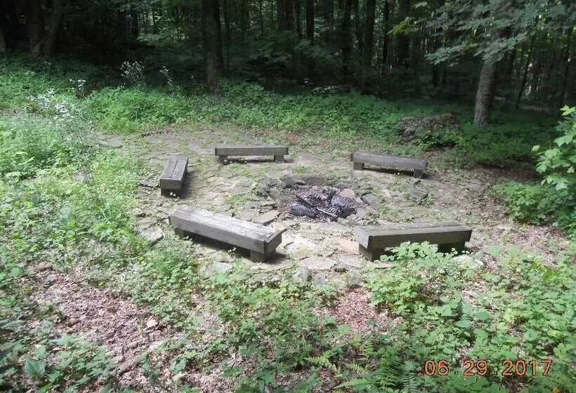 Hidden Creek Cabin Apartment