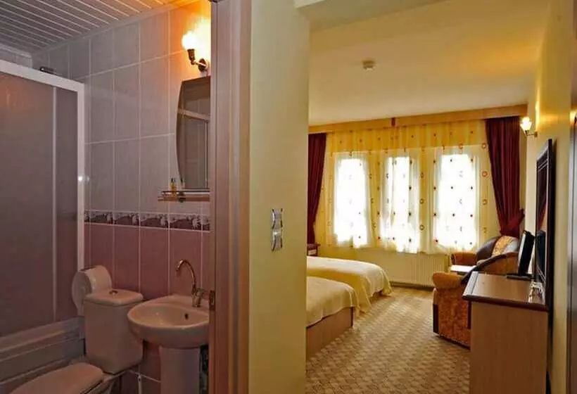 ホテル Baskent Demiralan