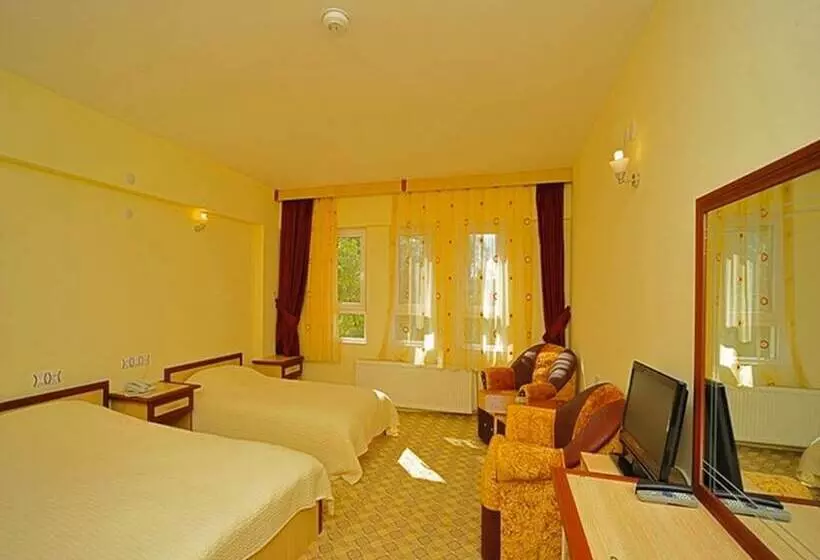 ホテル Baskent Demiralan