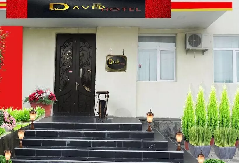 هتل David