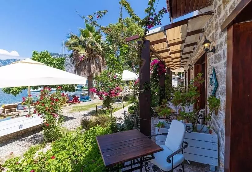 ホテル Tamara Beach Pension