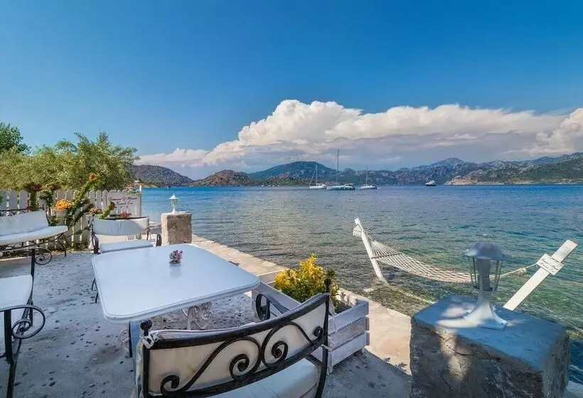 ホテル Tamara Beach Pension