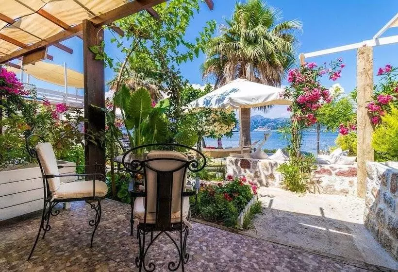 ホテル Tamara Beach Pension