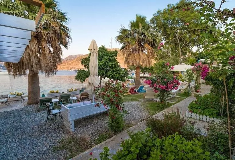 ホテル Tamara Beach Pension