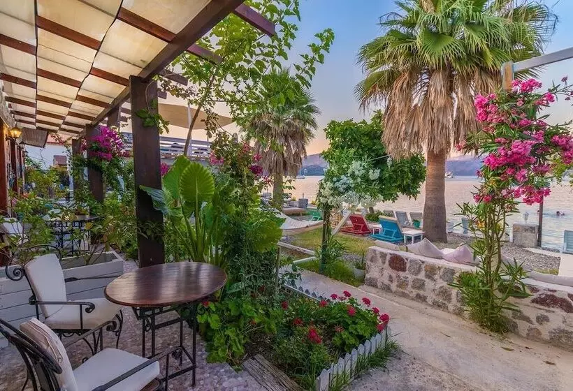 ホテル Tamara Beach Pension