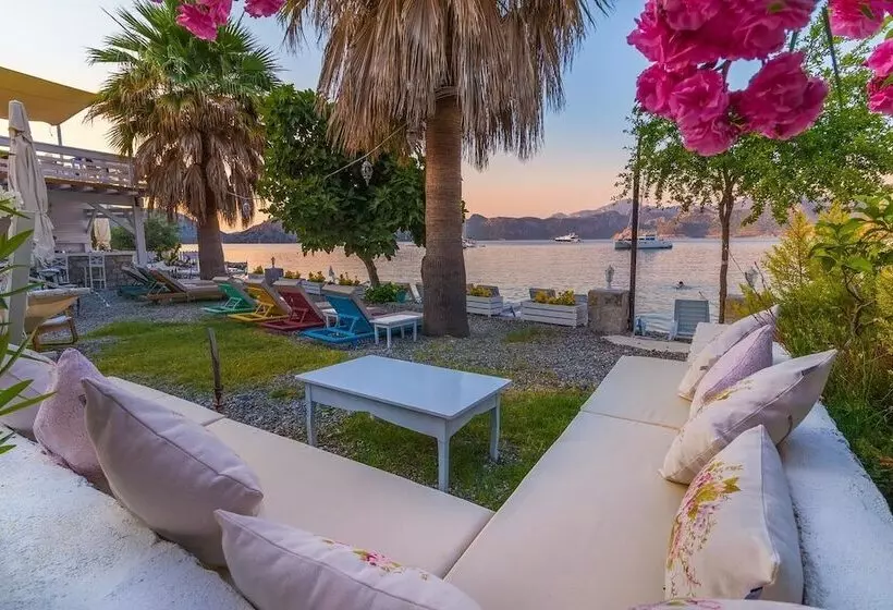ホテル Tamara Beach Pension