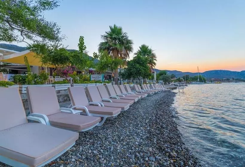 ホテル Tamara Beach Pension