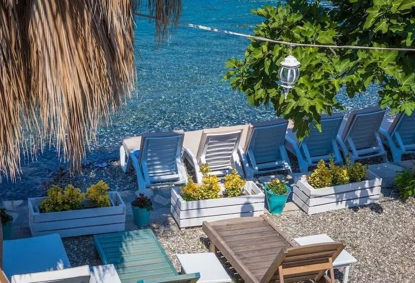ホテル Tamara Beach Pension