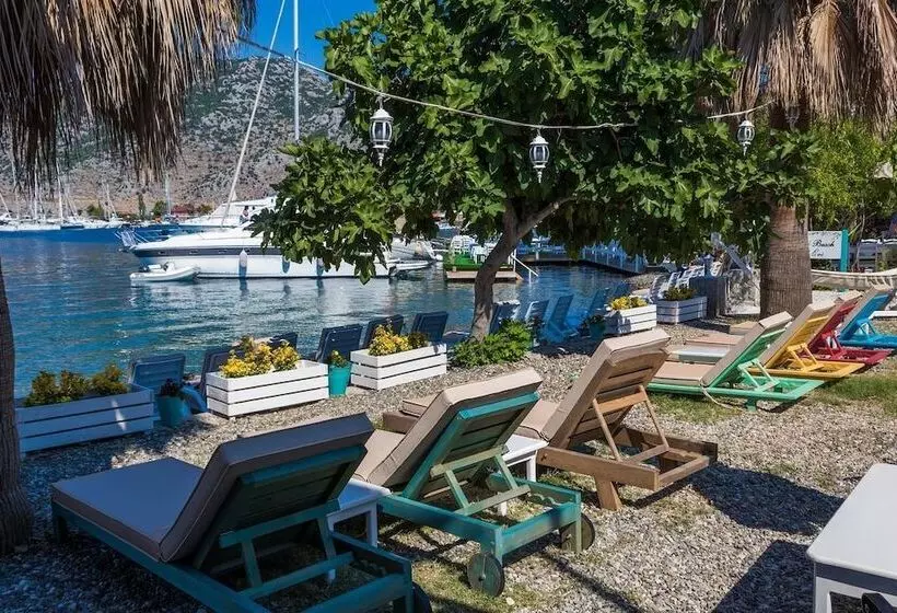 ホテル Tamara Beach Pension