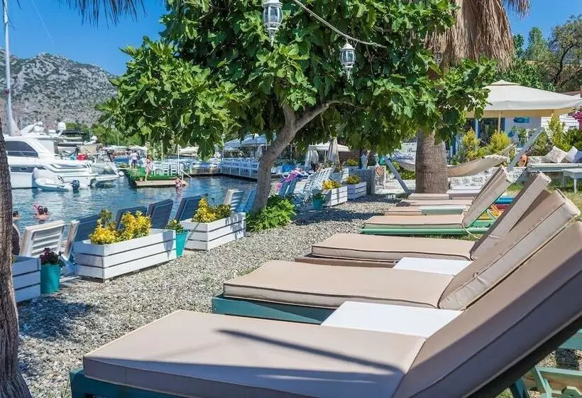 ホテル Tamara Beach Pension