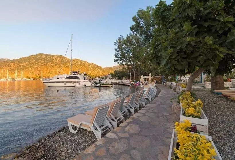 ホテル Tamara Beach Pension
