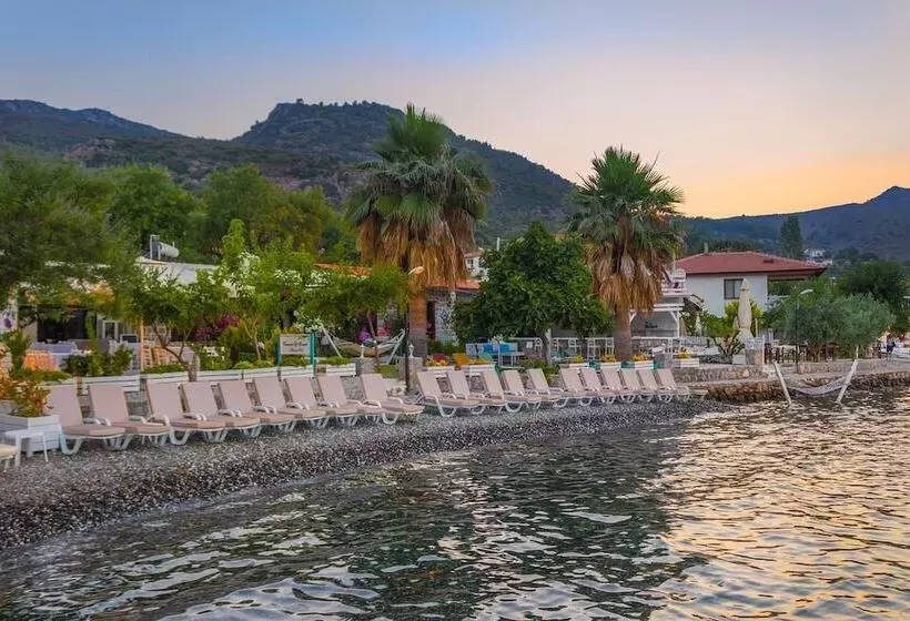 ホテル Tamara Beach Pension