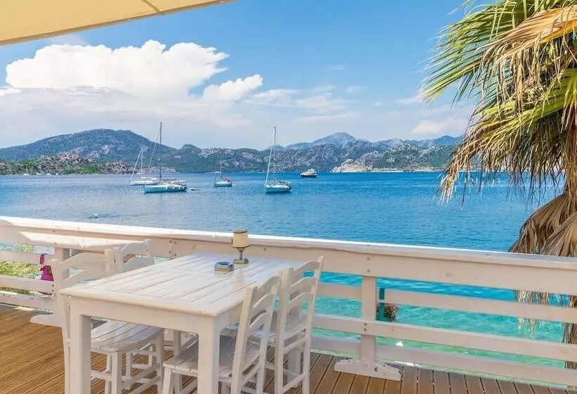 ホテル Tamara Beach Pension