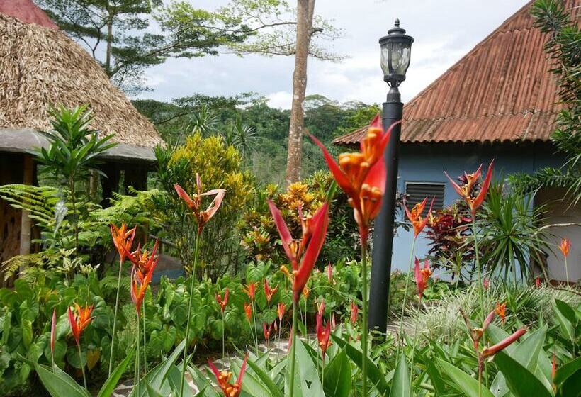 Отель Villa Tavida Lodge