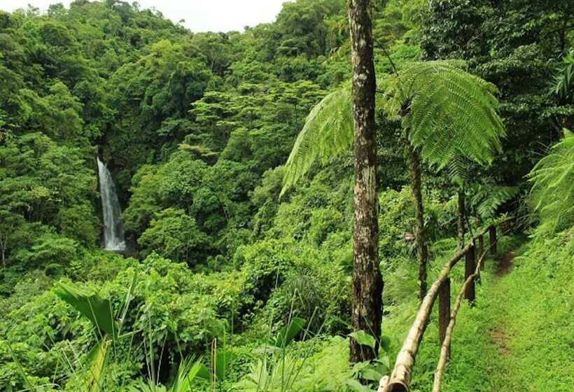 Отель Villa Tavida Lodge