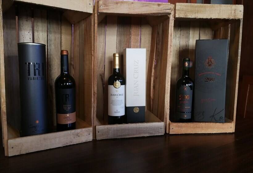 Macondo De Pizza Pazza Hotel Restobar