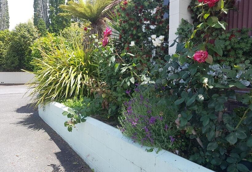 모텔 Putaruru Arms Motor Inn