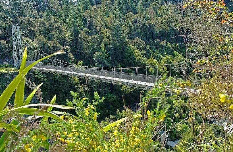 모텔 Putaruru Arms Motor Inn