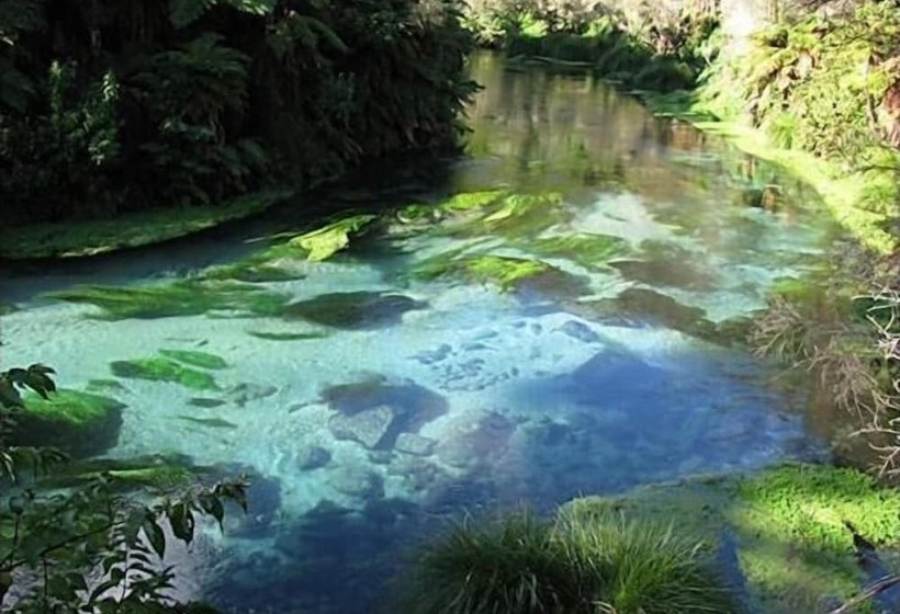 모텔 Putaruru Arms Motor Inn