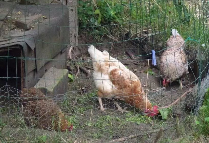 ペンション B & B Familie Van Vliet