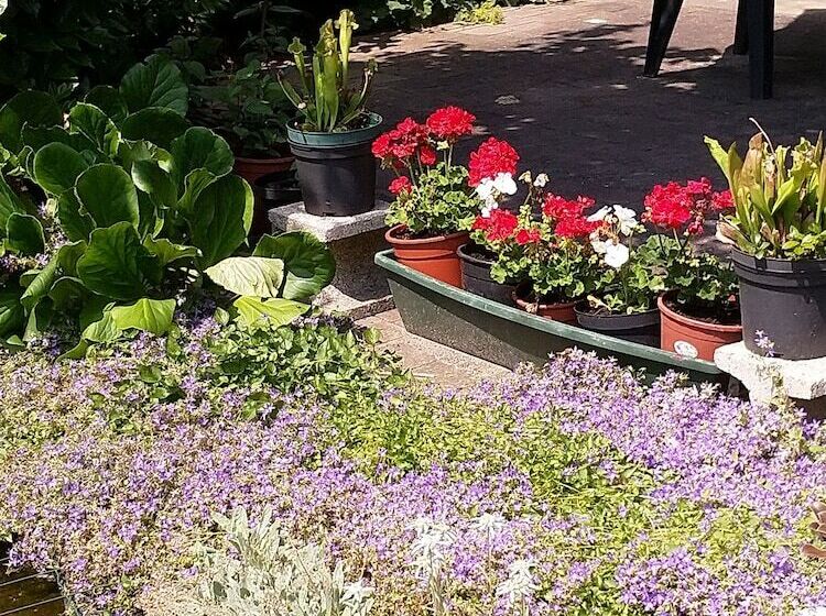 بنسيون B & B Familie Van Vliet