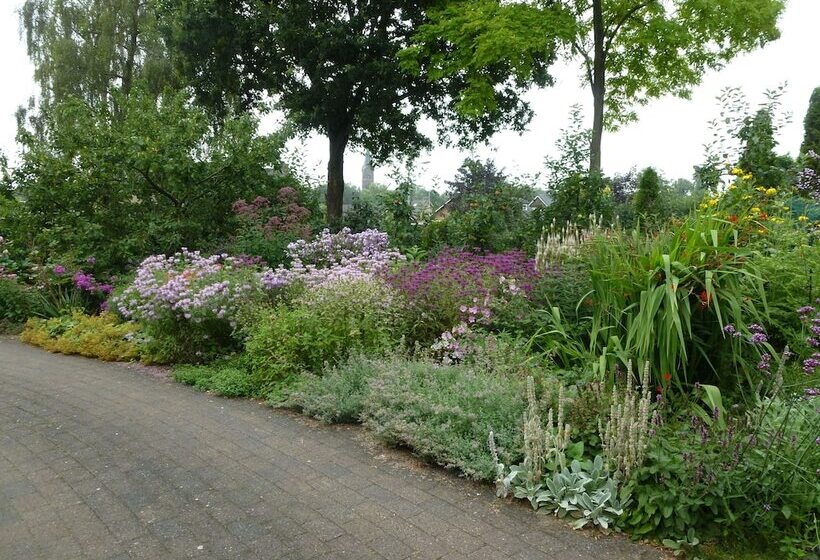 بنسيون B & B Familie Van Vliet