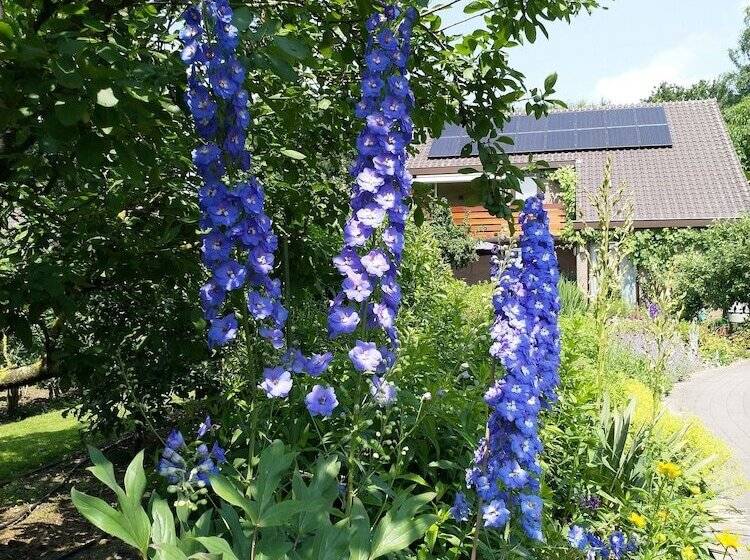 بنسيون B & B Familie Van Vliet