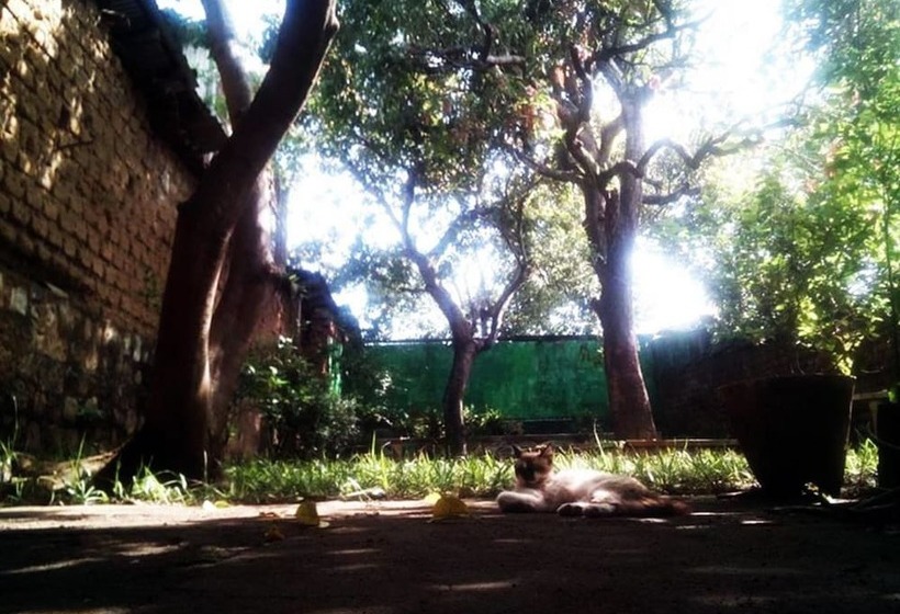 پانسیون La Posada De Don Tito