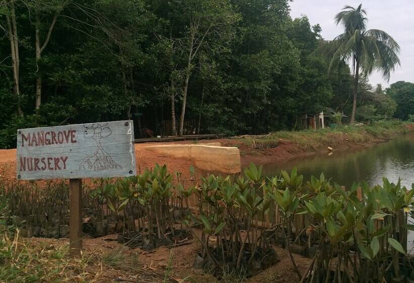 Bakau Hijau Riverlodge Hostel