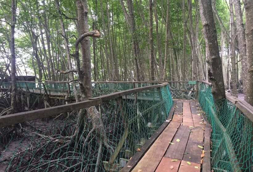 Bakau Hijau Riverlodge Hostel