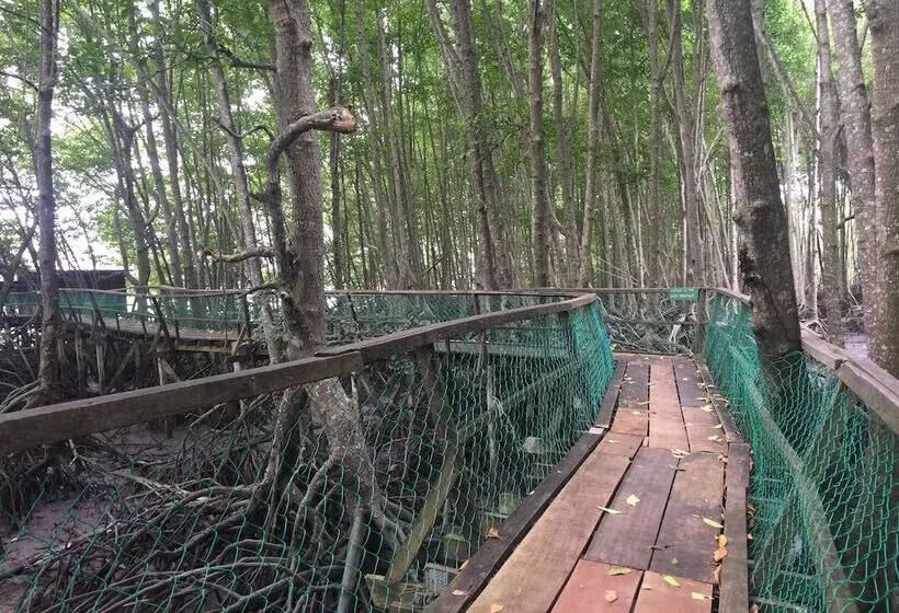 Bakau Hijau Riverlodge   Hostel