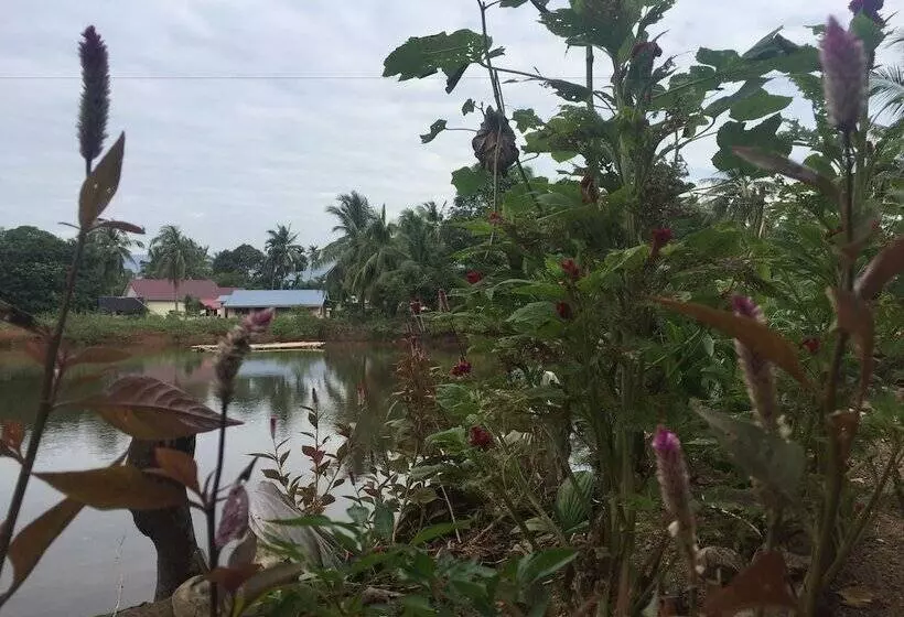 Bakau Hijau Riverlodge   Hostel