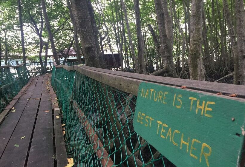 Bakau Hijau Riverlodge Hostel