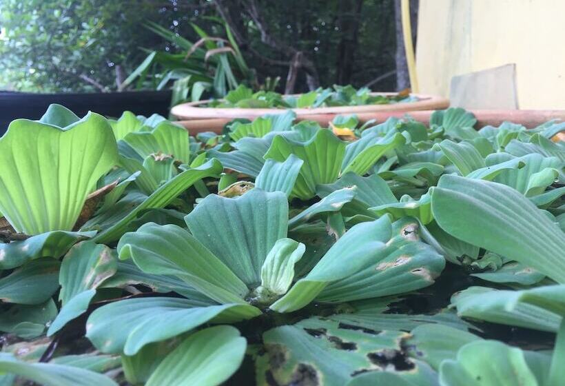 Bakau Hijau Riverlodge Hostel