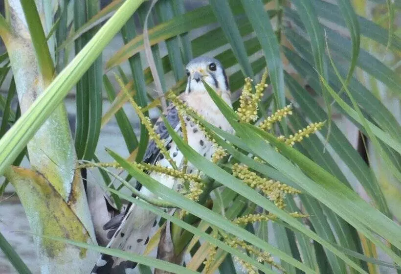 Habitation Desrosiers