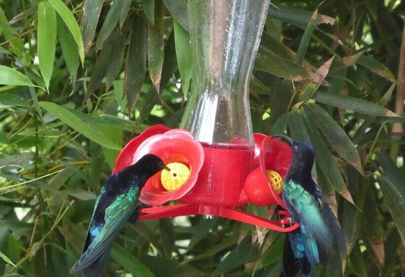 Habitation Desrosiers