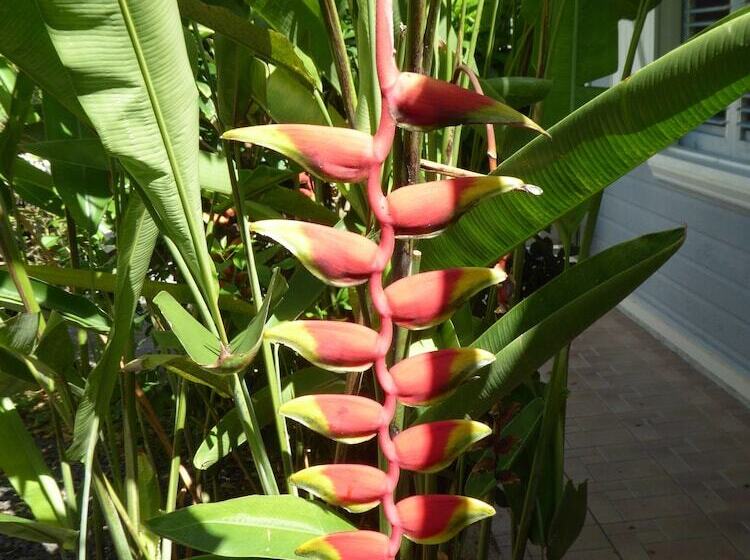 Habitation Desrosiers