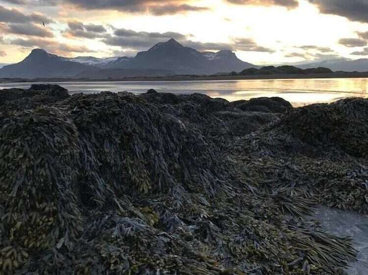 هتل Framtid Camping Lodging Barrels