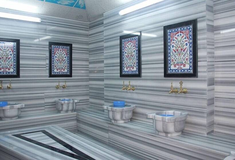 ホテル Karakocan Hanedan