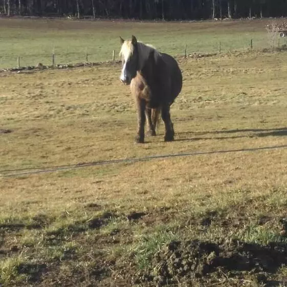 ホテル L Auberge Du Comtois