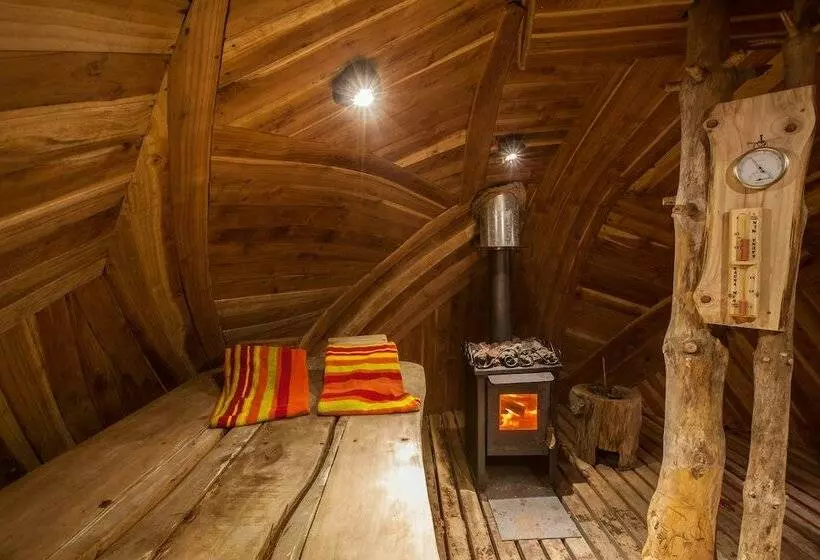 ホテル Lodge Nevados De Sollipulli