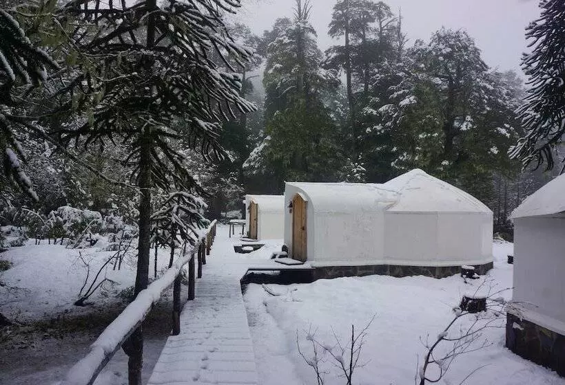 ホテル Lodge Nevados De Sollipulli