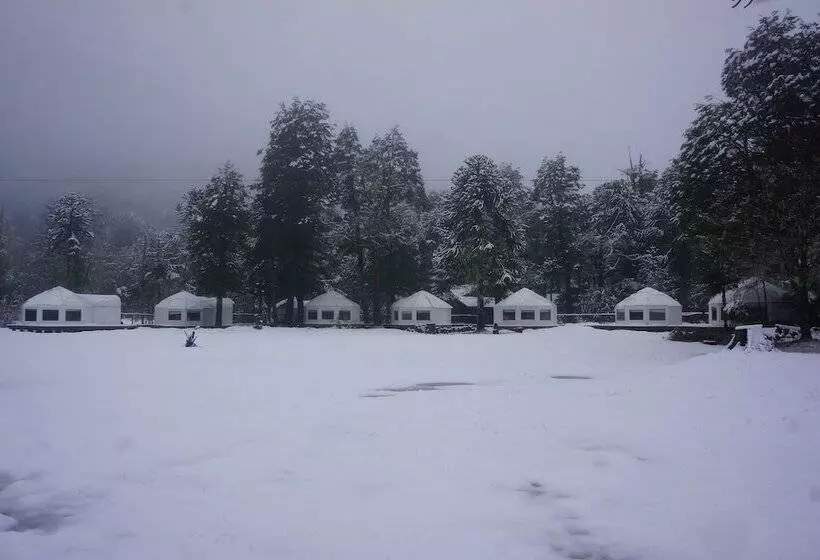 ホテル Lodge Nevados De Sollipulli