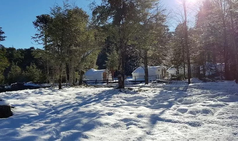 ホテル Lodge Nevados De Sollipulli