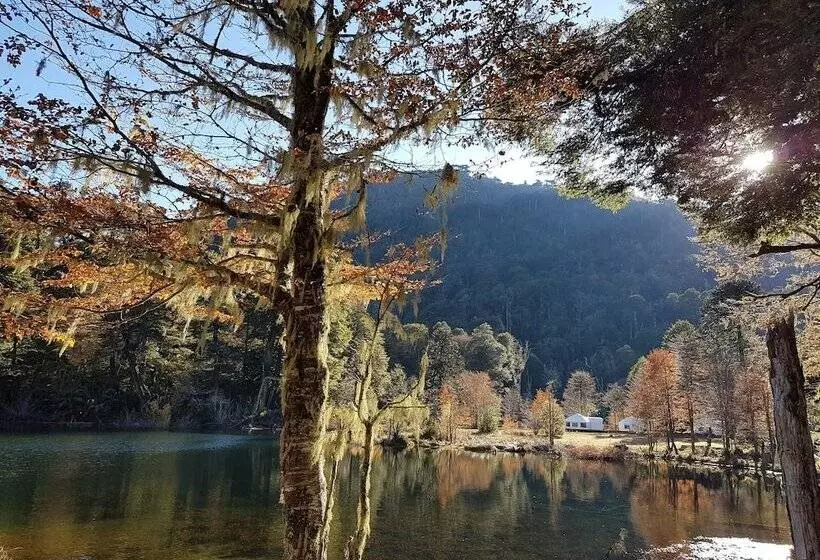 ホテル Lodge Nevados De Sollipulli